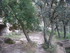 BOUCLE DU SITE DE CALÈS