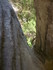 BOUCLE DU SITE DE CALÈS