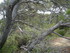 BOUCLE DU SITE DE CALÈS