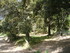 BOUCLE DU SITE DE CALÈS