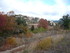 P COMME PADERN - AUDE - FRANCE