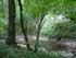 BOUCLE LES MOULINS DE L'ALZOU