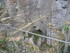 BOUCLE LES MOULINS DE L'ALZOU