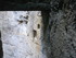 BOUCLE LES MOULINS DE L'ALZOU