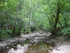 BOUCLE LES MOULINS DE L'ALZOU