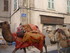 LES MEDIEVALES DE BRIGNOLES (5