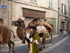 LES MEDIEVALES DE BRIGNOLES (5