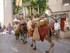 LES MEDIEVALES DE BRIGNOLES (5