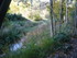 T COMME TERMES - AUDE - FRANCE