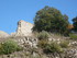 T COMME TERMES - AUDE - FRANCE