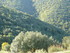 T COMME TERMES - AUDE - FRANCE