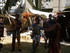 LES MEDIEVALES DE BRIGNOLES (6