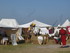 LES MEDIEVALES D'AIGUES MORTES