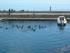 C COMME COLLIOURE - PYRÉNÉES