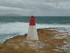 LE SENTIER DU LEZARD