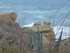 LE SENTIER DU LEZARD