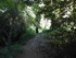 LE THOLOS DE LA LAUVE