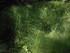 LE THOLOS DE LA LAUVE