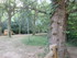 LE THOLOS DE LA LAUVE