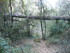 LE THOLOS DE LA LAUVE