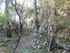 LE THOLOS DE LA LAUVE