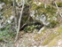 LE THOLOS DE LA LAUVE