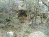 LE THOLOS DE LA LAUVE