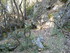 LE THOLOS DE LA LAUVE