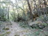 LE THOLOS DE LA LAUVE
