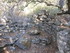 LE THOLOS DE LA LAUVE