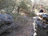 LE THOLOS DE LA LAUVE