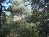 LE THOLOS DE LA LAUVE