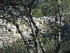 LE THOLOS DE LA LAUVE