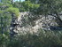 LE THOLOS DE LA LAUVE