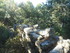LE THOLOS DE LA LAUVE
