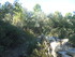 LE THOLOS DE LA LAUVE