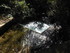 LE THOLOS DE LA LAUVE