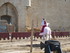 LES MEDIEVALES D'AIGUES MORTES