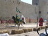 LES MEDIEVALES D'AIGUES MORTES