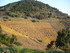 C COMME COLLIOURE (8) - PYRÉN