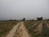 PLAISIRS CHAMPÊTRES
