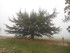 PLAISIRS CHAMPÊTRES