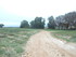 PLAISIRS CHAMPÊTRES