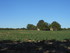 SUR LA TRACE DES MULETIERS