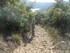 SUR LA TRACE DES MULETIERS