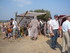 LES MEDIEVALES DE FOS SUR MER 