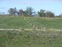 CÔTÉ RHÔNE
