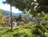 PERLE DU HAUT VAR