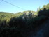 PERLE DU HAUT VAR