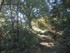 PERLE DU HAUT VAR